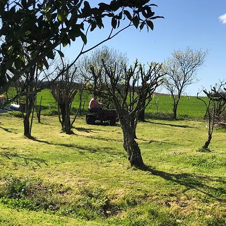 Bed & Breakfast Les Geais 3*