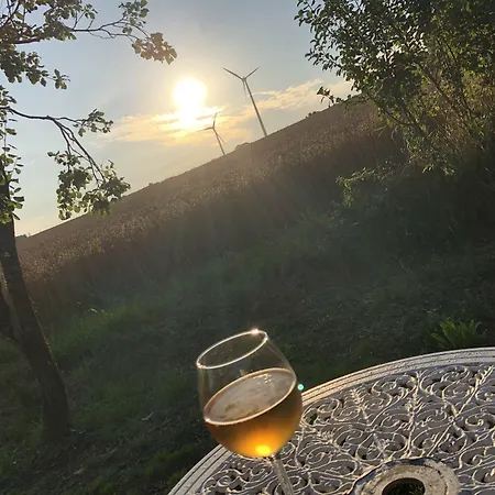 Bed & Breakfast Les Geais 3*